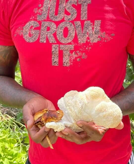 moodboard image